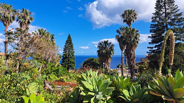NQBU1063 De botanische tuin met uitzicht op de Atlantische oceaan.