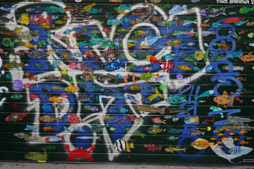 DSC02168
